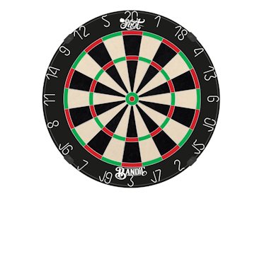 Shot Dartskiver og Tilbehør