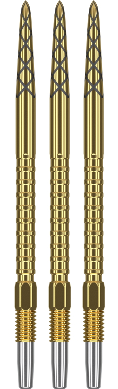 SWISS DS GOLD POINT 40MM