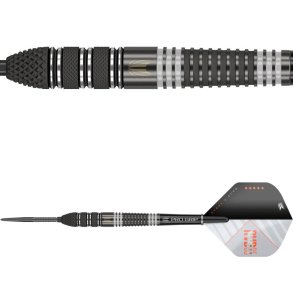 Raymond van Barneveld 95% Tungsten, Echo SP 21 gram