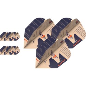 BARNEY25 x 3 SETS NO6 FLIGHTS