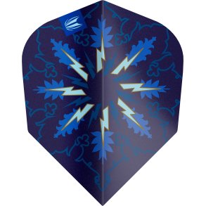 Phil Taylor Gx2 No6 Flights 3pk