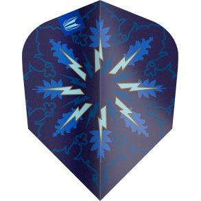 Phil Taylor Gx2 Ten-x Flights 3pk