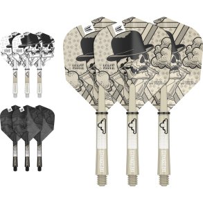 DIMITRI VAN DEN BERGH INK FLIGHT &SHAFT KIT INTERMEDIATE