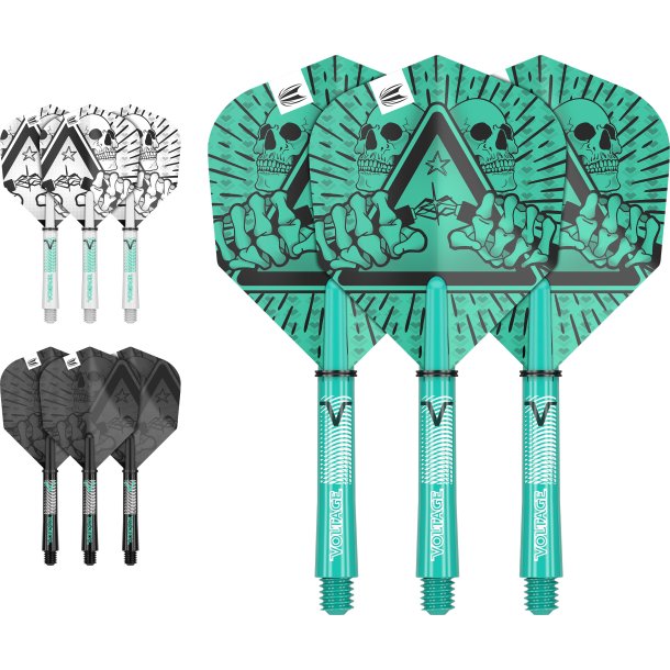 ROB CROSS INK FLIGHT &amp; SHAFT KIT INTERMEDIATE
