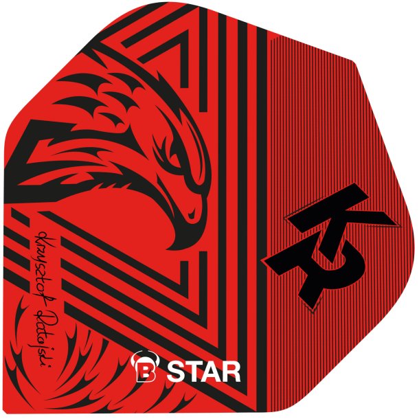 B-Star Flights Krzysztof Ratajski R�d No2