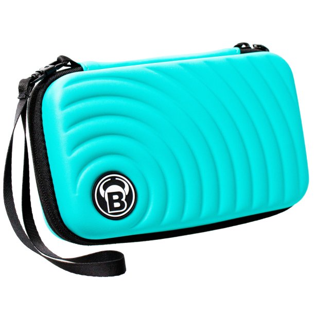 Orbis XL Dartcase Mint