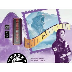 Kasumi Sato Endeavour G2 Max 90% Soft Tip