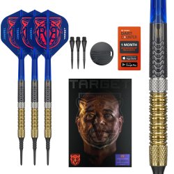 Raymond Van Barneveld G6 95% Tungsten 20 gram Soft Tip