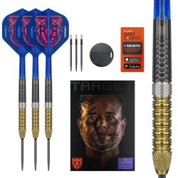 Raymond Van Barneveld G6 SP 95% Tungsten 25 gram