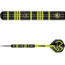 MVG Ambition 24 gram, messing dartpiler. 