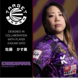 Target Japan Endeavour Gen 3 90% Tungsten, 19 gram Softtip