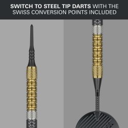 Raymond Van Barneveld G6 95% Tungsten 20 gram Soft Tip