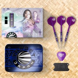 Target Japan Endeavour Gen 3 90% Tungsten, 24 gram SP Steel Tip