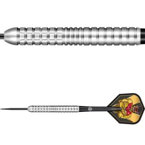 Shot Michael Smith Precision 80% 22g Steeltip