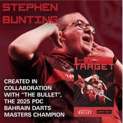 Target Stephen Bunting dartsett i messing  100 deler