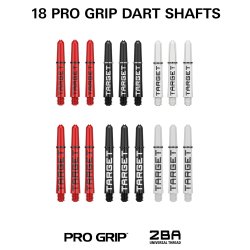 Target Stephen Bunting dartsett i messing  100 deler