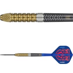 Raymond Van Barneveld G6 SP 95% Tungsten 23 gram