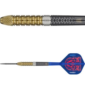 Raymond Van Barneveld G6 SP 95% Tungsten 25 gram