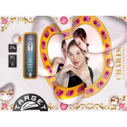 Target Japan Charis G5 24G SP STEEL TIP