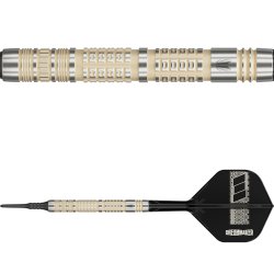Dimitri Van Den Bergh 95K 19 gram Soft Tip