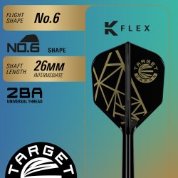 Target Japan The Miracle x Rising Sun Champions Limited Edition 95% Tungsten 21,5 gram Softtip