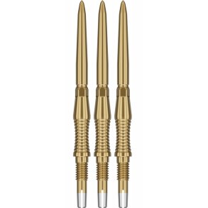 SIGNATURE SWISS POINT RST Gold 30MM 