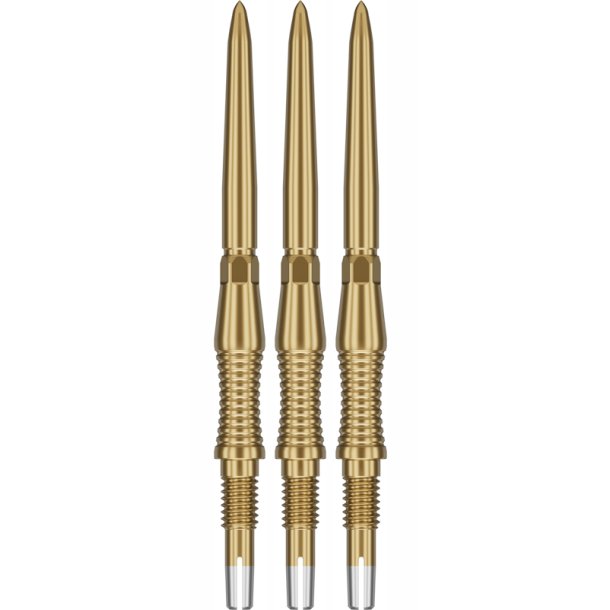 SIGNATURE SWISS POINT RST Gold 30MM 