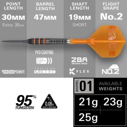 Target Raymond van Barneveld 95K 95% Tungsten 21 gram Swiss Point st�ldartpiler