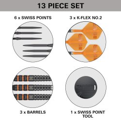 Target Raymond van Barneveld 95K 95% Tungsten 21 gram Swiss Point st�ldartpiler