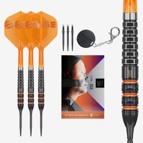 Target Raymond van Barneveld 95K 95% Tungsten 23 gram Swiss Point st�ldartpiler