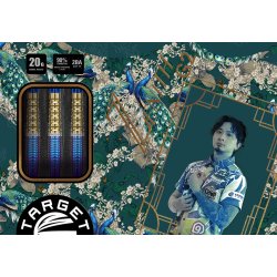 Target Japan Prime Series Zenith gen 2 90% 20 gram Softtip