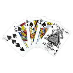 Bicycle Tally Ho Circle Back