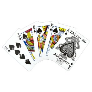 Bicycle Tally Ho Circle Back