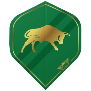 Bulls Retro Gr�nn Standard Flights