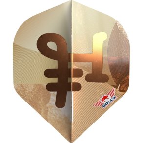 Bull's Series 100 Bronzo No.2 Flight