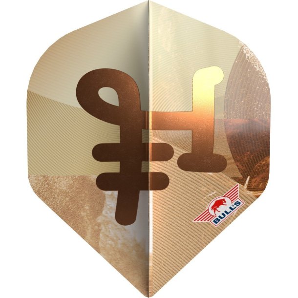 Bull's Series 100 Bronzo No.2 Flight