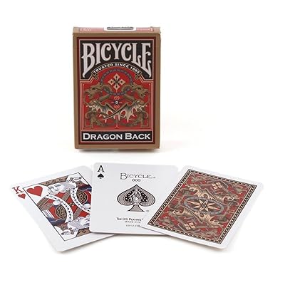 Bicycle Dragon Back